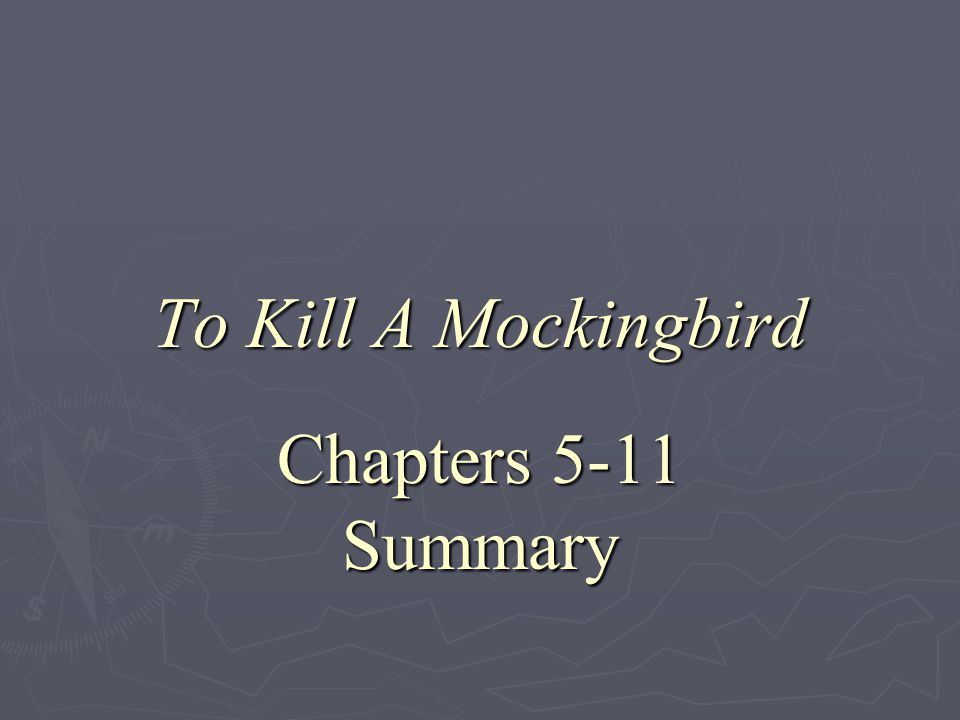 What is the main plot for To Kill A Mockingbird?